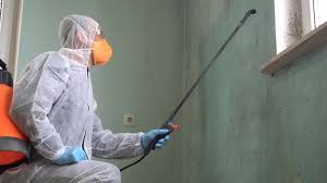 Professional Mold Removal & Remediation in Penn Yan, NY